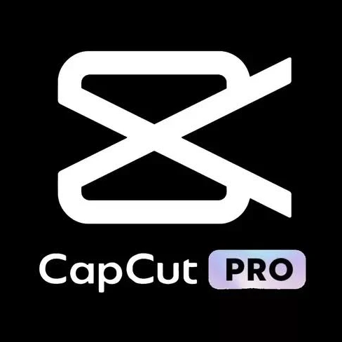 CapCut Pro Software